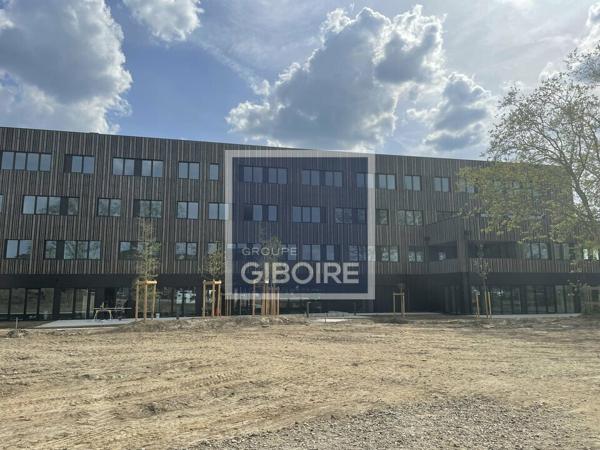 NYMPHE : Bureaux - A VENDRE - ANGERS (réf : 49.017445)