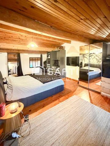 Maison en pierre 4 pièces 150 m2 + T2 40 m2