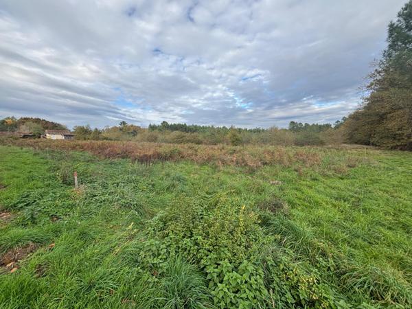 TERRAIN CONSTRUCTIBLE