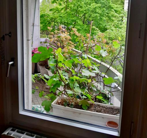 Appartement à vendre 4 pièces COURBEVOIE (92)