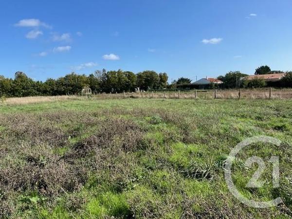 Terrain à vendre  917 m2 ST GEORGES D OLERON - 17