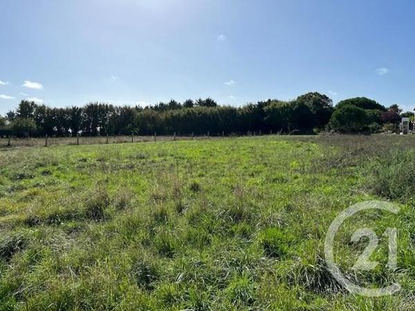 Terrain à vendre  917 m2 ST GEORGES D OLERON - 17