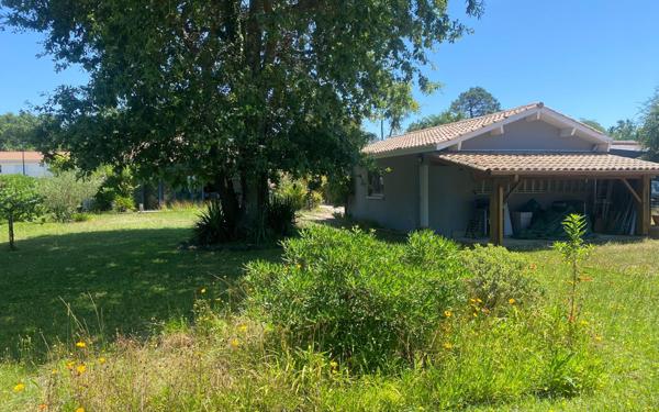 Maison à vendre    3 pièces •  La Teste-de-Buch