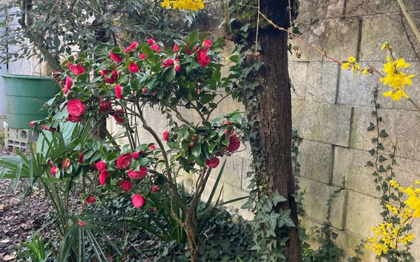 Maison à vendre    8 pièces •  Niort