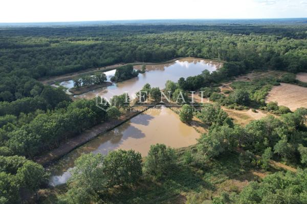 Rare territoire de 112 hectares avec étangs en Sologne
