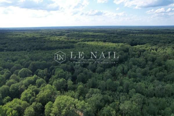 Rare territoire de 112 hectares avec étangs en Sologne