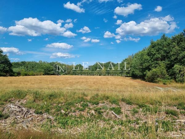 Rare territoire de 112 hectares avec étangs en Sologne