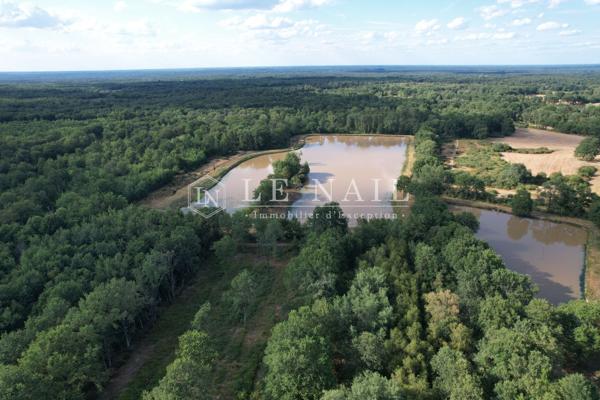 Rare territoire de 112 hectares avec étangs en Sologne