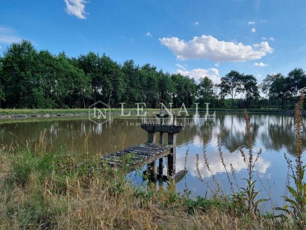 Rare territoire de 112 hectares avec étangs en Sologne