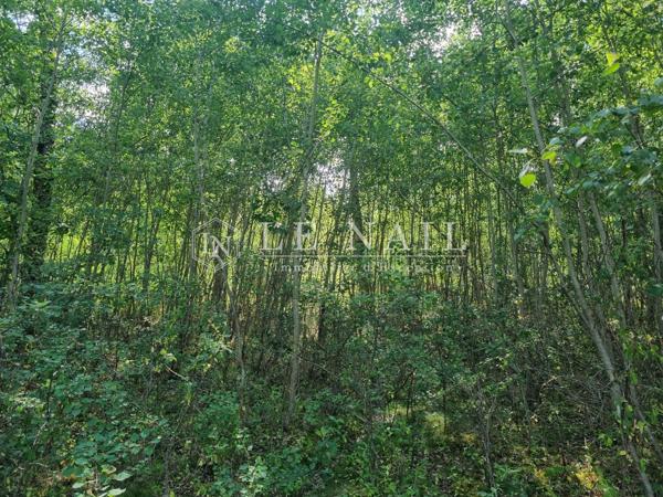 Rare territoire de 112 hectares avec étangs en Sologne