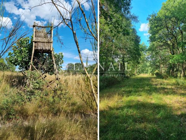 Rare territoire de 112 hectares avec étangs en Sologne