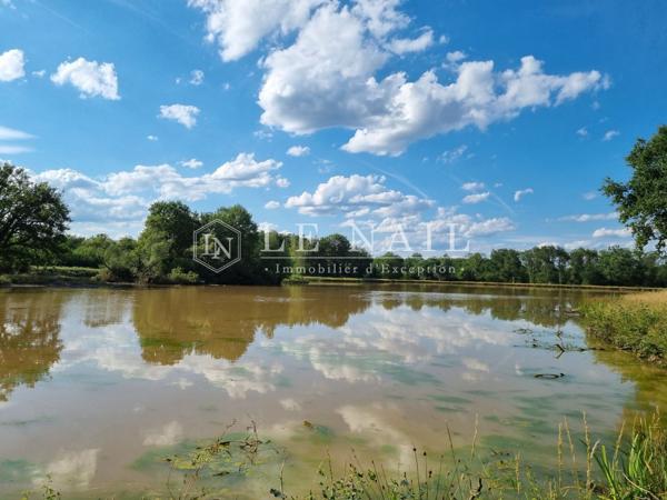 Rare territoire de 112 hectares avec étangs en Sologne