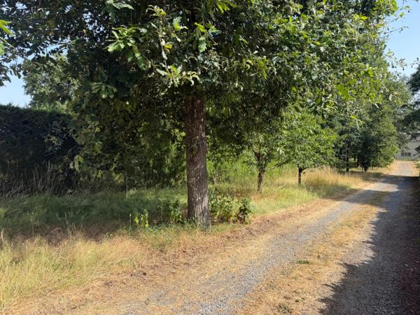 Dpt Maine et Loire (49), à vendre BAUGE terrain