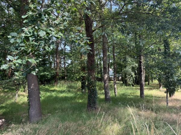Dpt Maine et Loire (49), à vendre BAUGE terrain