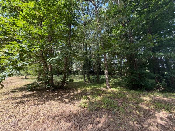 Dpt Maine et Loire (49), à vendre BAUGE terrain