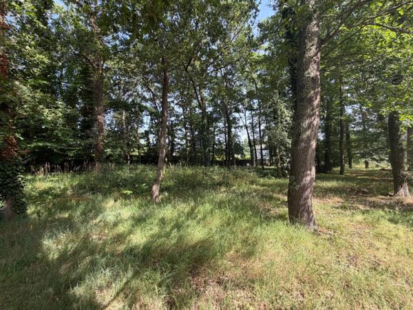 Dpt Maine et Loire (49), à vendre BAUGE terrain
