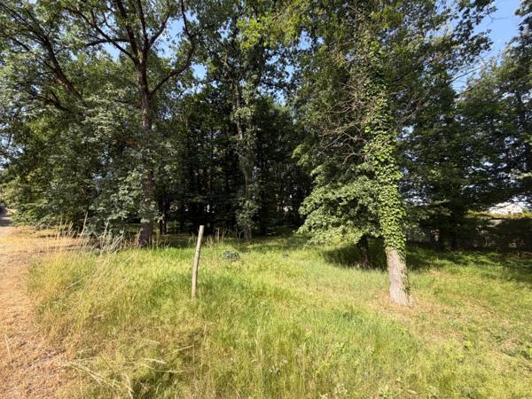 Dpt Maine et Loire (49), à vendre BAUGE terrain