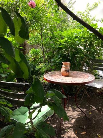 A PROXIMITE DU PORT DE PLAISANCE ET DU CENTRE VILLE