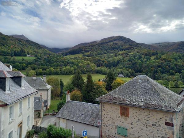 Maison à vendre à Saint-Jacques-des-Blats dans le Cantal (15800), ref : MG/2348