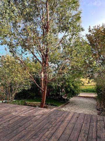 Charmante maison avec petit jardin entièrement restaurée à vendre près de Lectoure 6 pièces