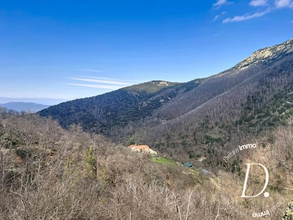 Domaine d’exception – Mas 207 m² avec 104 hectares – Amélie-les-Bains