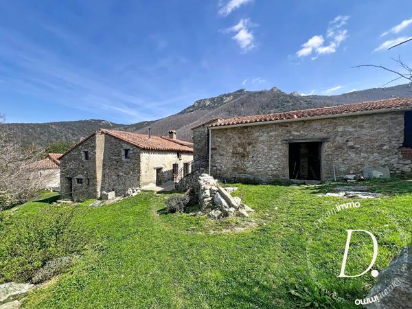 Domaine d’exception – Mas 207 m² avec 104 hectares – Amélie-les-Bains