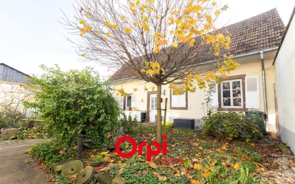 Maison à vendre    6 pièces • 150 m2 Ingenheim