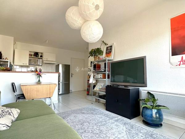 Vente                                                      Appartement
                        
                     3 pièces                      52 m2                     à Albi