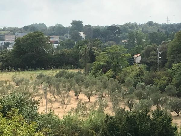 Appartement · Vente Montpellier (34070) 2 pièces · 31m²