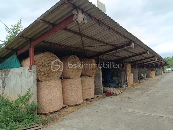 Terrain de 45 181 m²