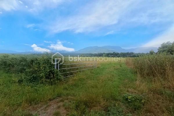 Terrain de 45 181 m²