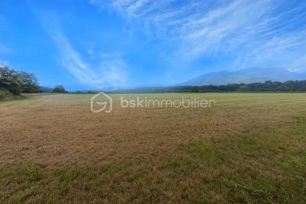 Terrain de 45 181 m²