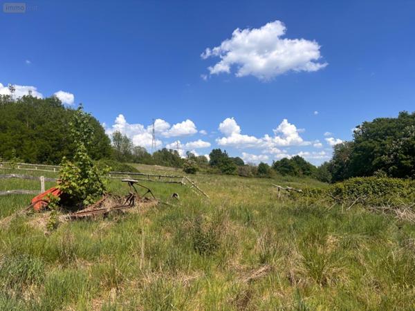 Château à vendre à Yvré-l'Évêque dans la Sarthe (72530), ref : LMY/SA