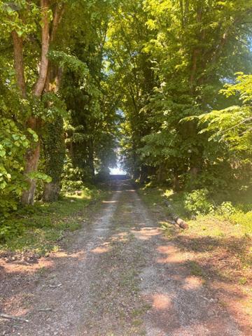 Château à vendre à Yvré-l'Évêque dans la Sarthe (72530), ref : LMY/SA