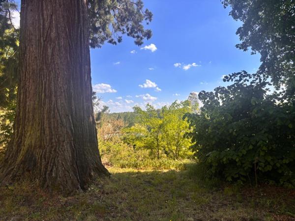 Château à vendre à Yvré-l'Évêque dans la Sarthe (72530), ref : LMY/SA