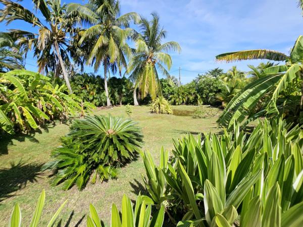 Villa piscine 4 pièces 120 m² au VAUCLIN