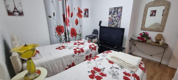IMMEUBLE EN COPRO DE TROIS LOGEMENTS RENOVES JARDINS STATIONNEMENTS
