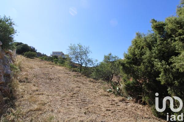 Terrain à vendre 1 250 m² Fitou