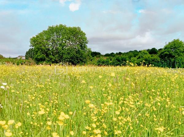 Terrain de 2 800 m²