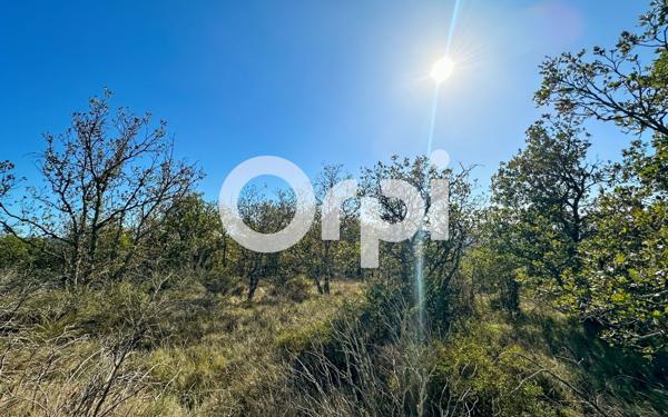 Terrain à vendre    Ruoms