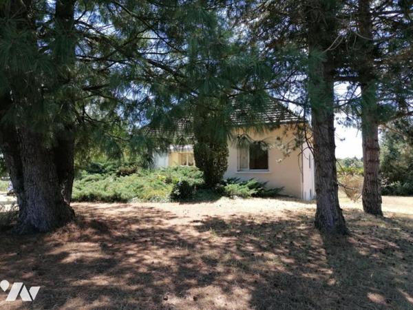 PAVILLON SUR SOUS SOL