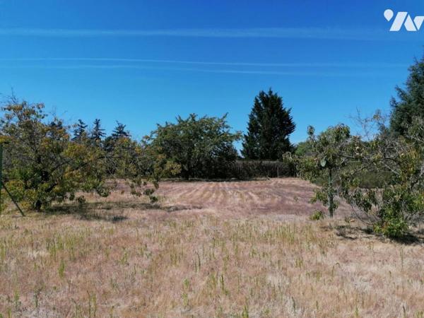 PAVILLON SUR SOUS SOL