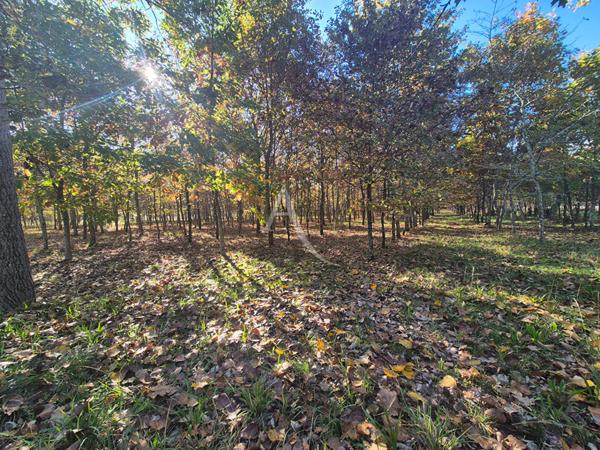 Villeneuve de Marsan