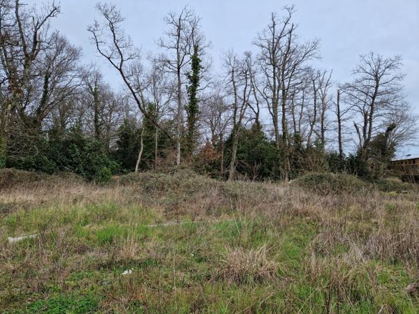 TERRAIN A VENDRE SUR ROYAN