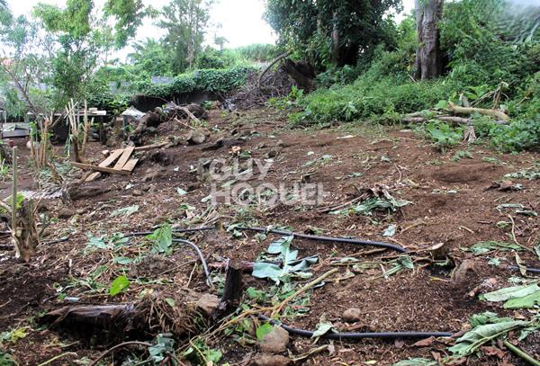 TERRAIN 362 m² TAMPON ( Bras Creux)