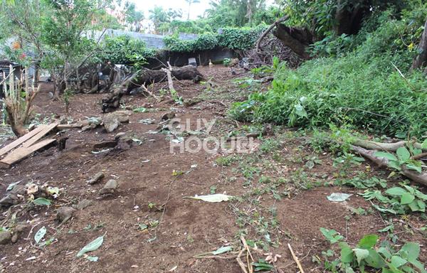 TERRAIN 362 m² TAMPON ( Bras Creux)