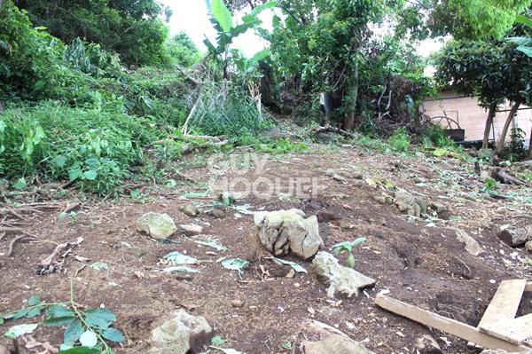 TERRAIN 362 m² TAMPON ( Bras Creux)