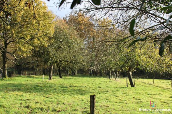 Corps de ferme sur 2 ha 52 à Ernée