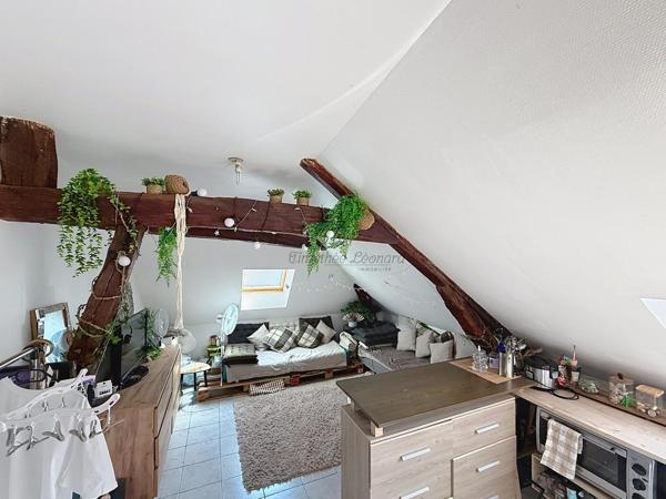 Studio idéal investisseur à Montereau