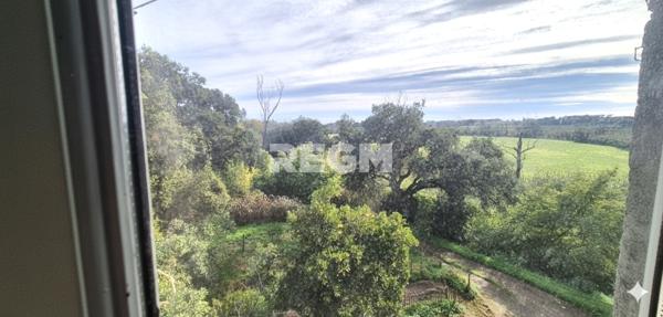 San-Giuliano (20230) Maison, Situation, Vue et Surfaces Rare